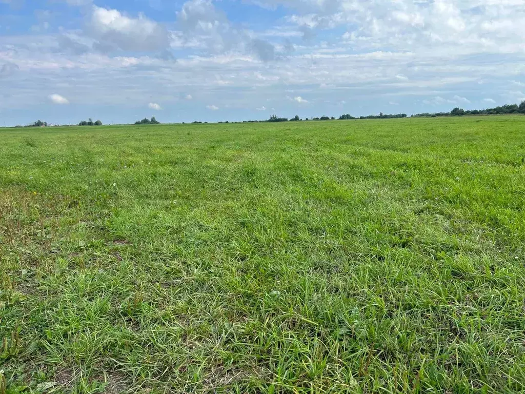 Участок, 1100 сот., фермерское хоз-во - Фото 1