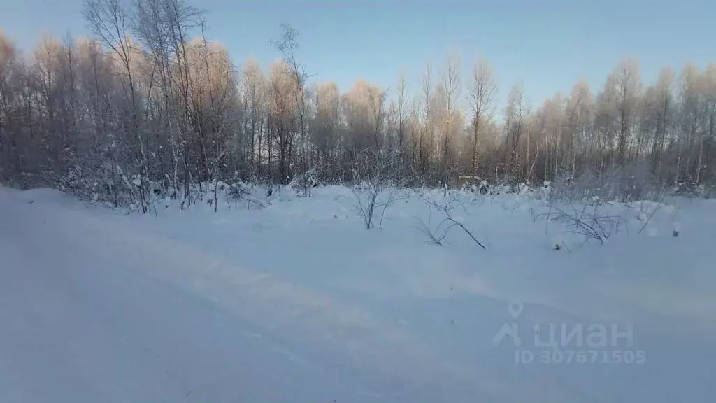 Участок в Владимирская область, Судогодский район, Вяткинское ... - Фото 1