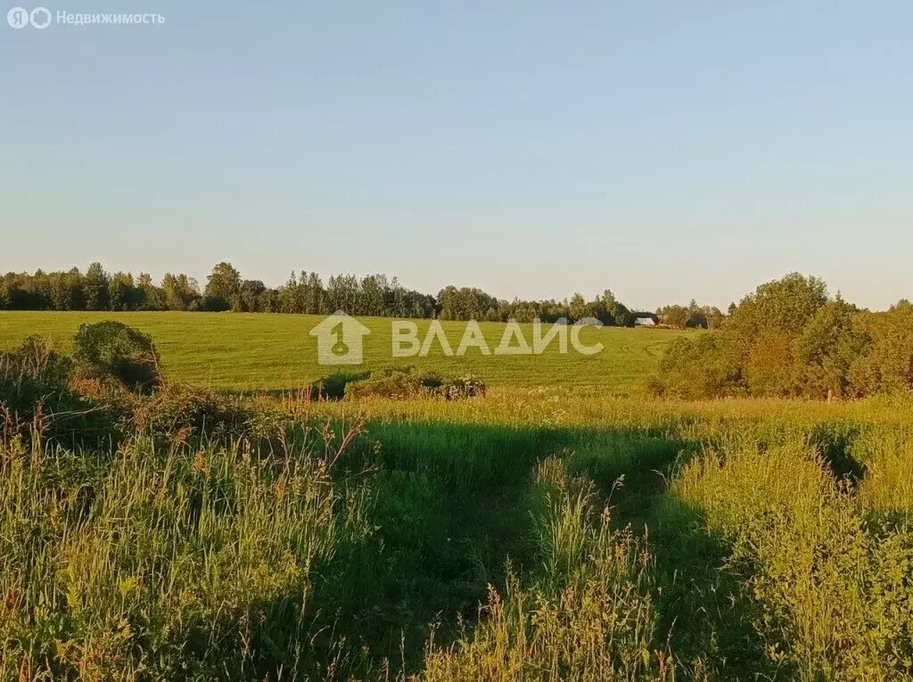 Участок в Вологодский муниципальный округ, деревня Козицыно (12 м) - Фото 0