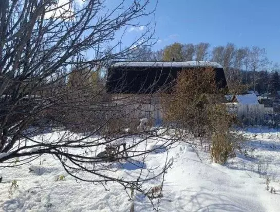 Участок в Новосибирская область, Новосибирский район, Станционный ... - Фото 0