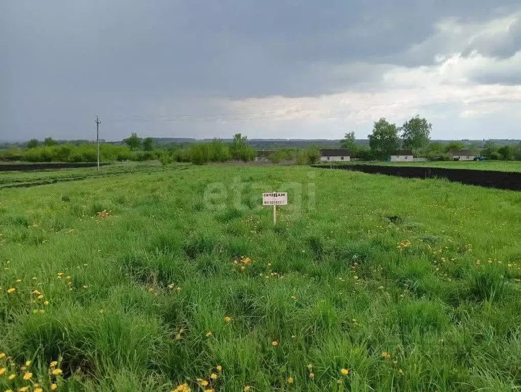 Участок в Курская область, Пристенский район, Черновецкий сельсовет, ... - Фото 1