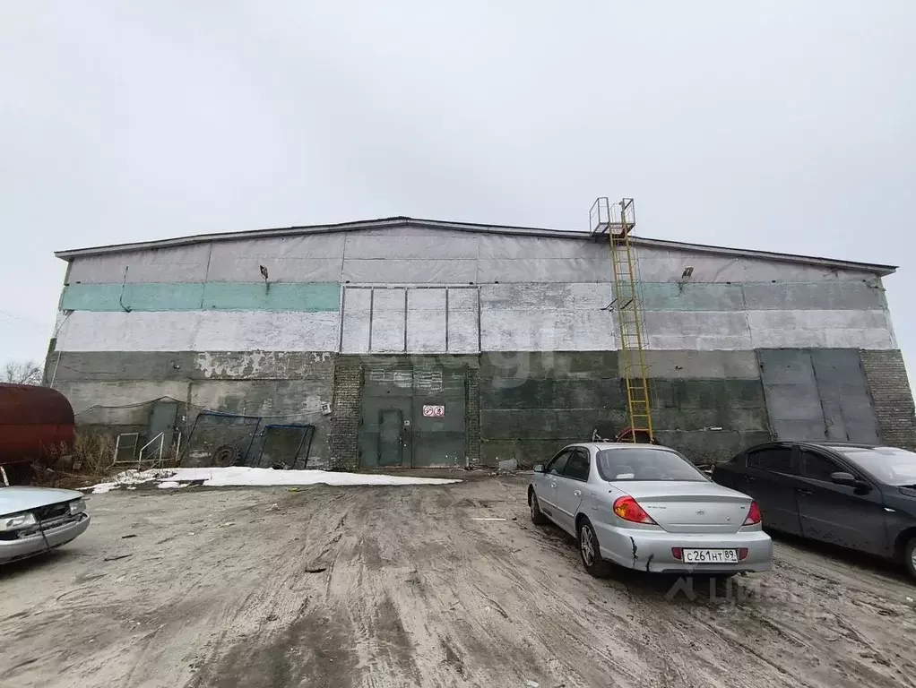 Склад в Ямало-Ненецкий АО, Ноябрьск Промузел Пелей кв-л, 11-я панель, ... - Фото 1