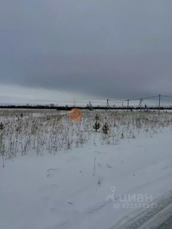 Участок в Тюменская область, Тюменский муниципальный округ, ... - Фото 0