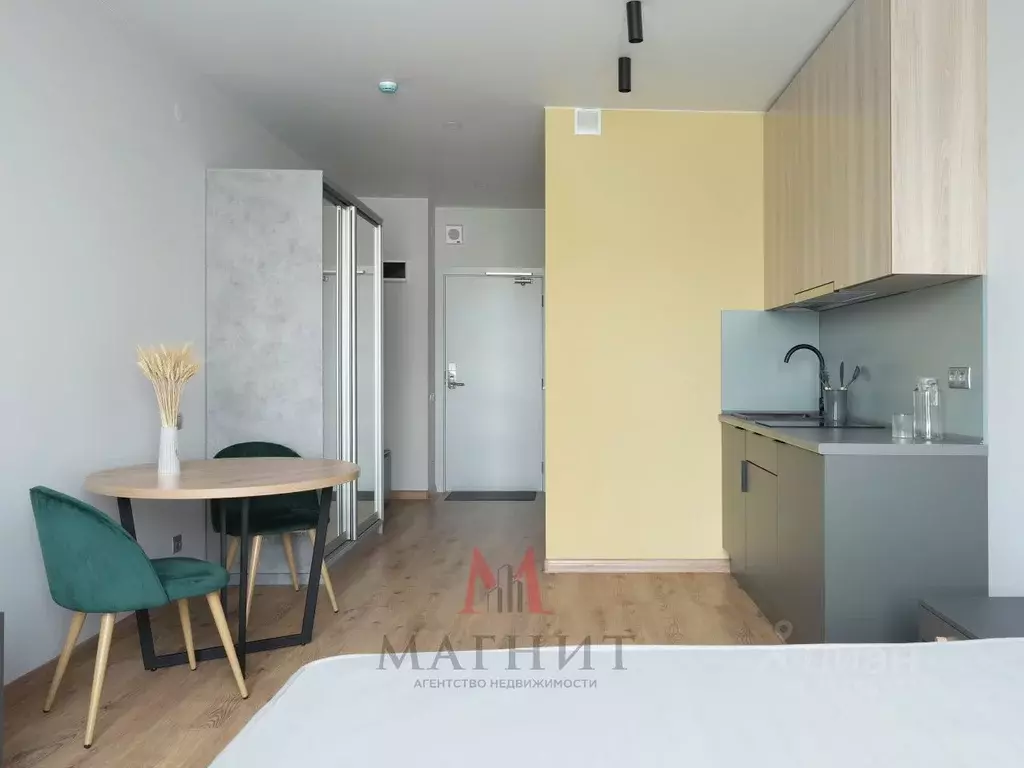 Студия Санкт-Петербург дор. На Турухтанные острова, 5к1 (25.5 м) - Фото 2