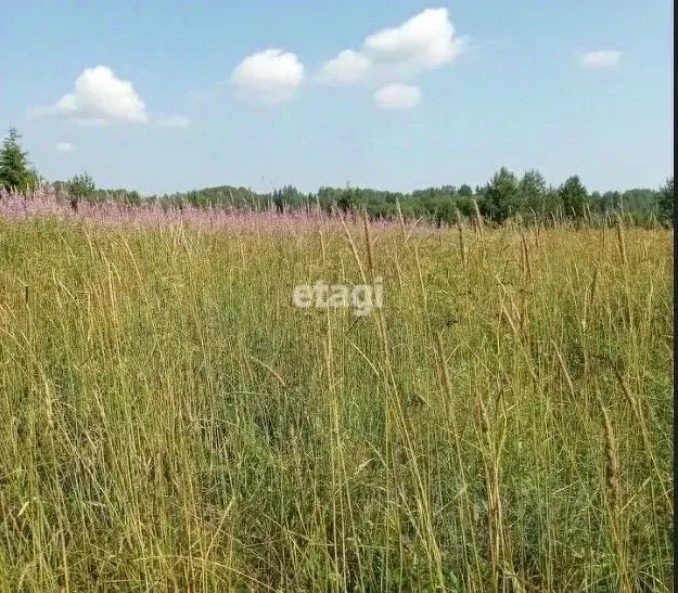 Участок в Ленинградская область, Кировский район, Мгинское городское ... - Фото 0