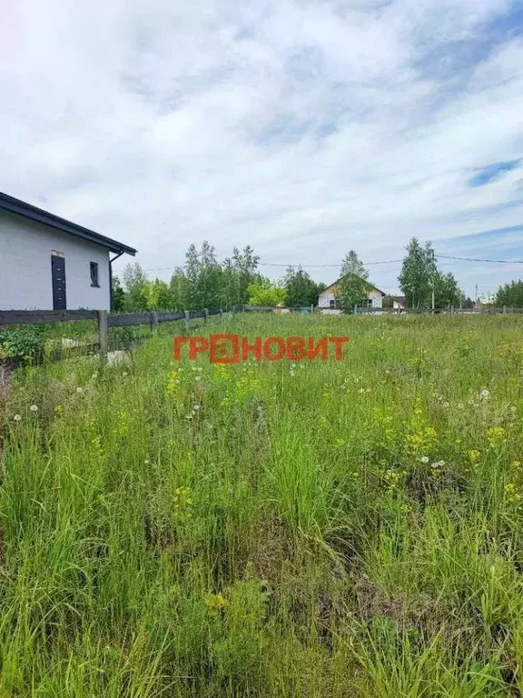 Участок в Новосибирская область, Новосибирский район, с. Верх-Тула ул. ... - Фото 1