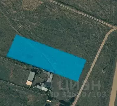 Участок в Алтайский край, Егорьевский район, Лебяжинский сельсовет, с. ... - Фото 1