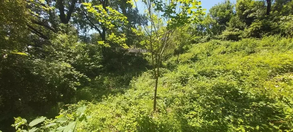 Участок в Краснодарский край, Сочи Луч садоводческое товарищество, 161 ... - Фото 1