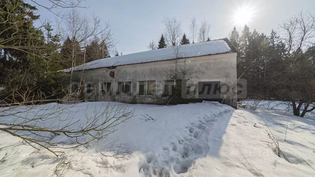 Помещение свободного назначения в Московская область, Наро-Фоминск ул. ... - Фото 1