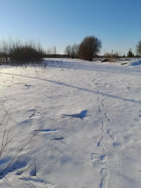 Участок в Московская область, Сергиево-Посадский городской округ, д. ... - Фото 1