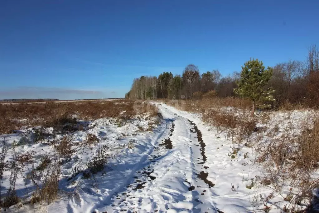 Участок в Свердловская область, Горноуральский городской округ, с. ... - Фото 0