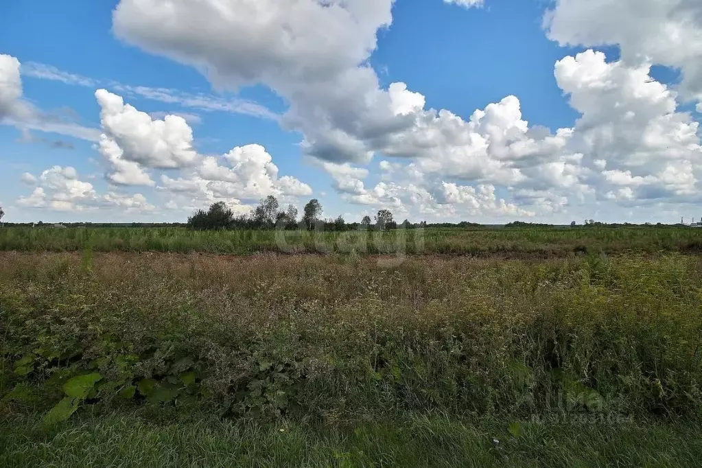 Участок в Свердловская область, Тугулымский городской округ, с. ... - Фото 1