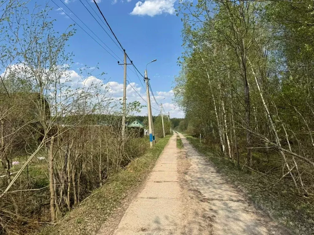 Участок в Московская область, Чехов муниципальный округ, д. Сенино ул. ... - Фото 1