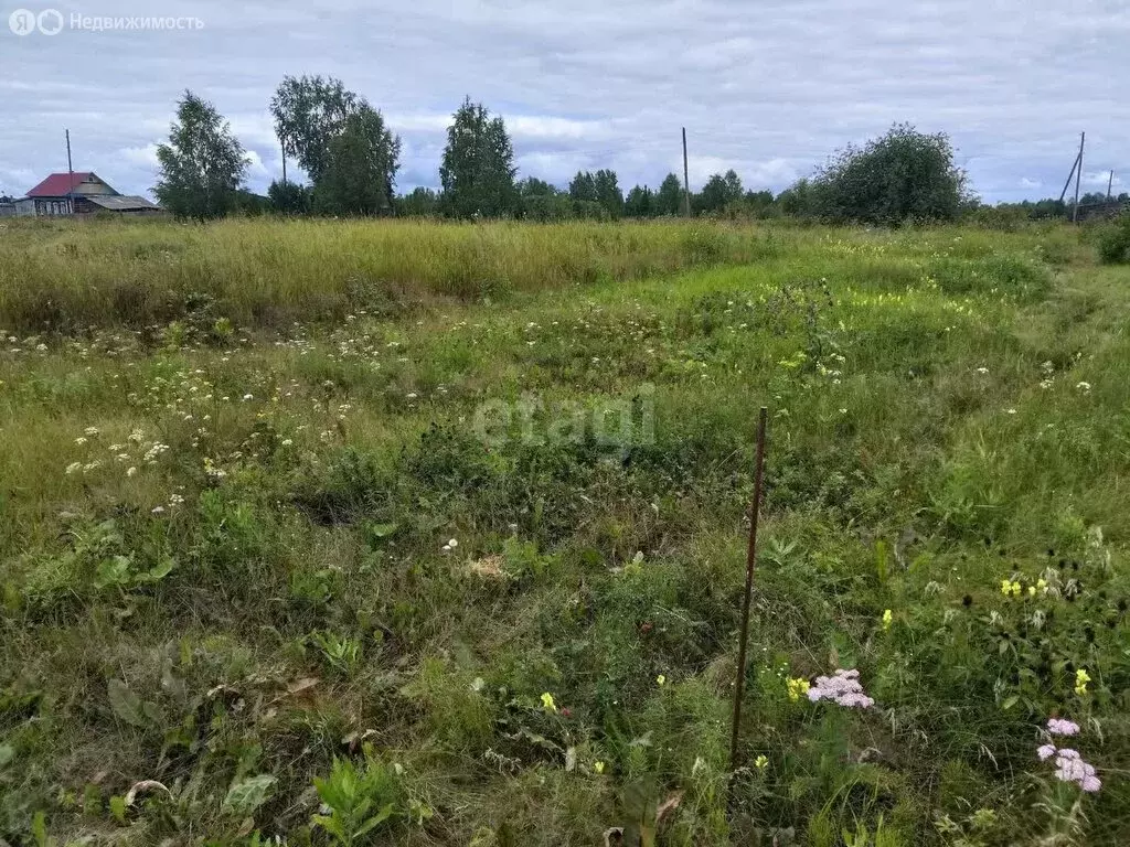 Участок в Дегтяревское сельское поселение, деревня Ушакова, Береговая ... - Фото 1