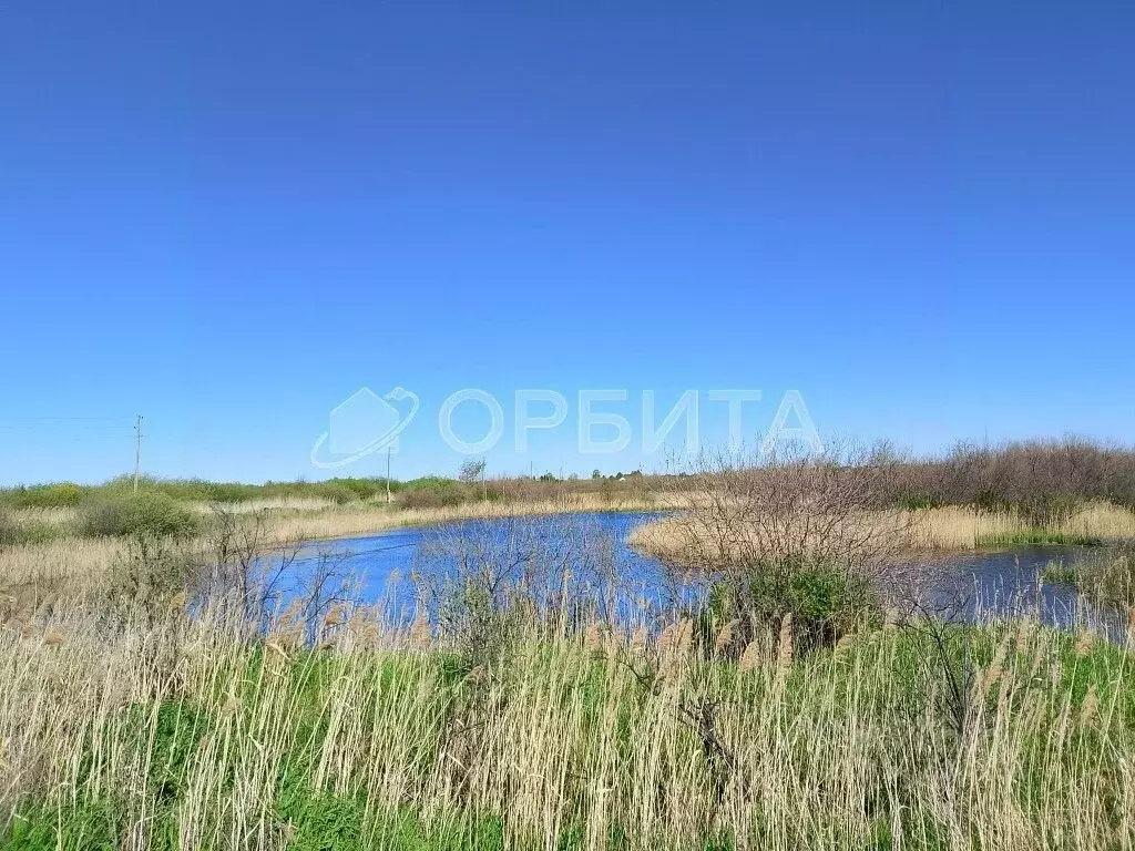 Участок в Тюменская область, Тюмень ул. Облепиховая (10.0 сот.) - Фото 1