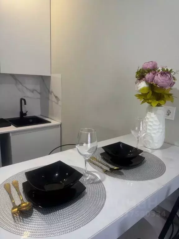 Студия Санкт-Петербург Витебский просп., 99к1 (25.0 м) - Фото 2