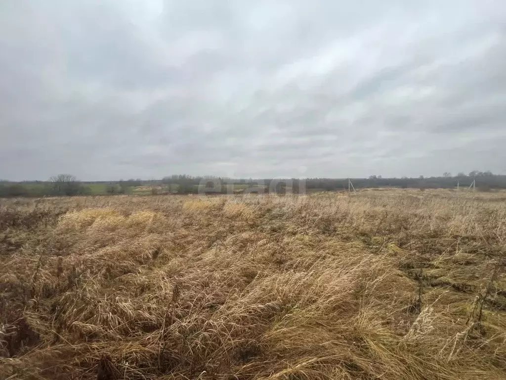 Участок в Вологодская область, д. Яковлевское  (10.0 сот.) - Фото 2