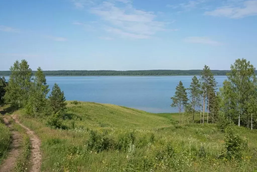 Участок в Тверская область, Осташковский муниципальный округ, д. ... - Фото 1