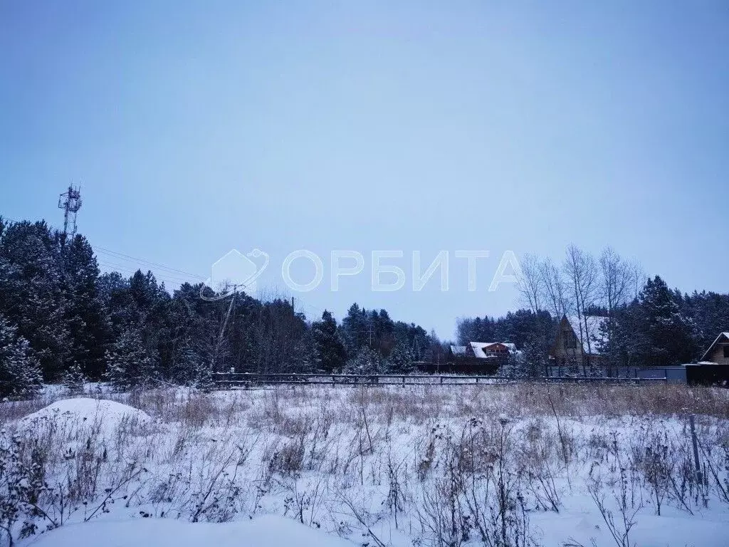 Участок в Тюменская область, Тюменский район, д. Ушакова пер. 1-й ... - Фото 1