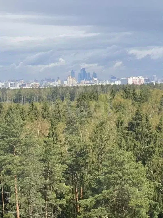 3-к кв. Московская область, Одинцово ул. Кутузовская, 12 (75.0 м) - Фото 2