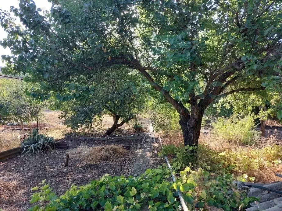 Участок в Крым, Симферопольский район, с. Трудовое, Дружба СПК ул. ... - Фото 1