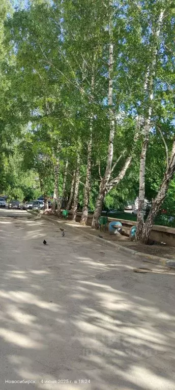 3-к кв. Новосибирская область, Новосибирск ул. Бориса Богаткова, 219 ... - Фото 2