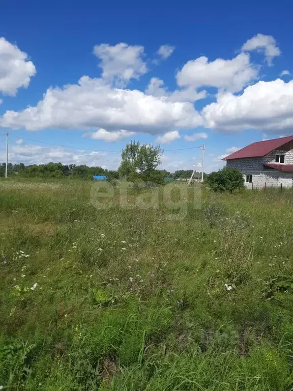 Участок в Алтайский край, Смоленский район, Верх-Обский сельсовет, с. ... - Фото 0