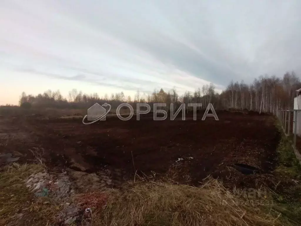 Участок в Тюменская область, Тюмень Автомобилист СНТ, ул. Рябиновая ... - Фото 0