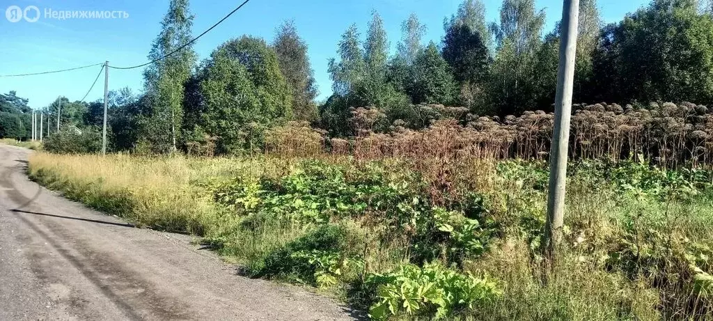 Участок в посёлок Дзержинского, 1-я Заречная улица (20 м) - Фото 2