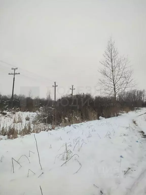 Участок в Новгородская область, Старая Русса Линейный пер. (15.0 сот.) - Фото 2