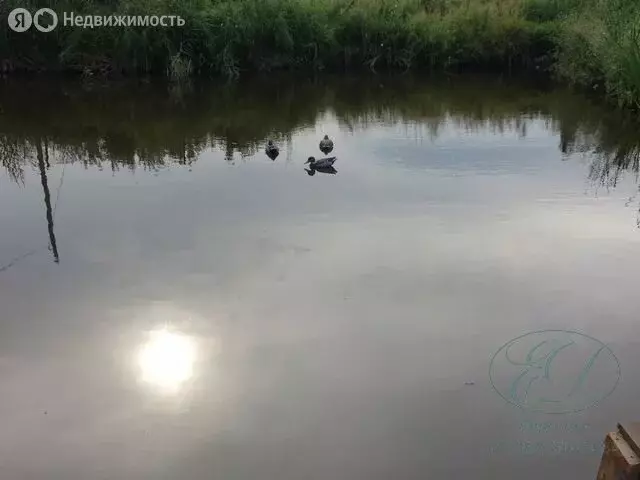 Участок в Колыванский район, садовое некоммерческое товарищество ... - Фото 1