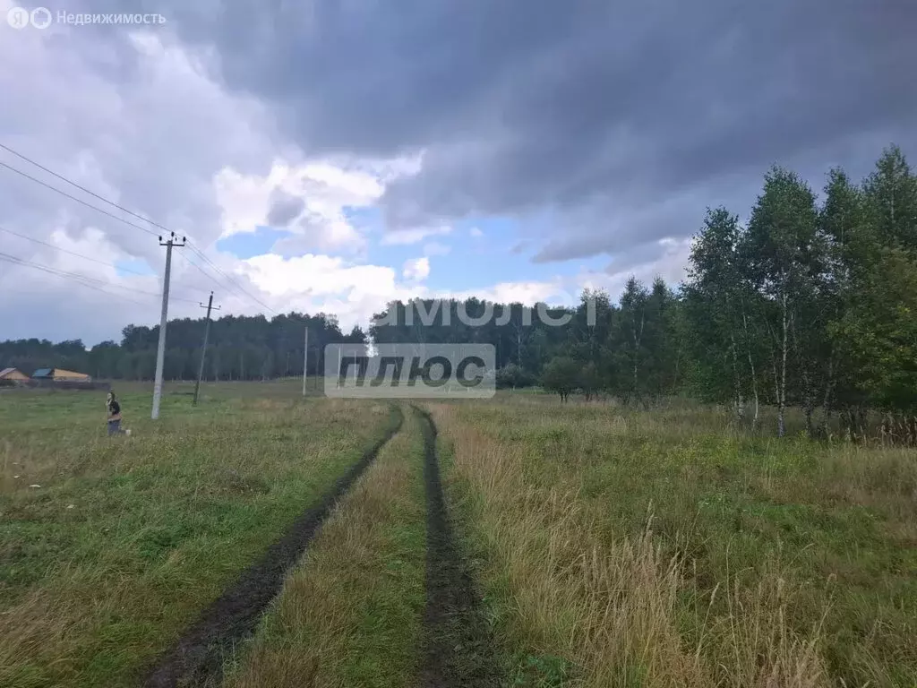 Участок в Челябинская область, Сосновский муниципальный округ, деревня ... - Фото 2