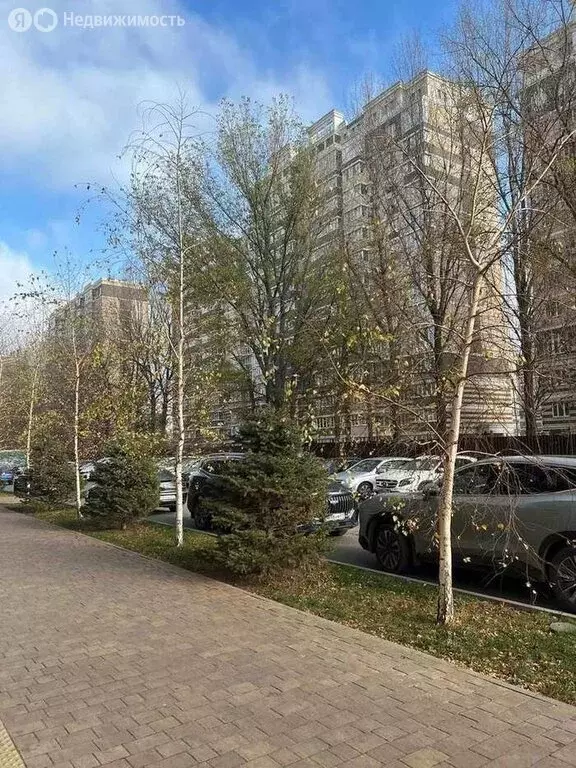 Квартира-студия: Краснодар, Конгрессная улица, 27 (24.9 м) - Фото 2