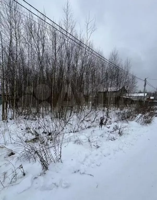 Участок 11,3 сот. (ИЖС) - Фото 0