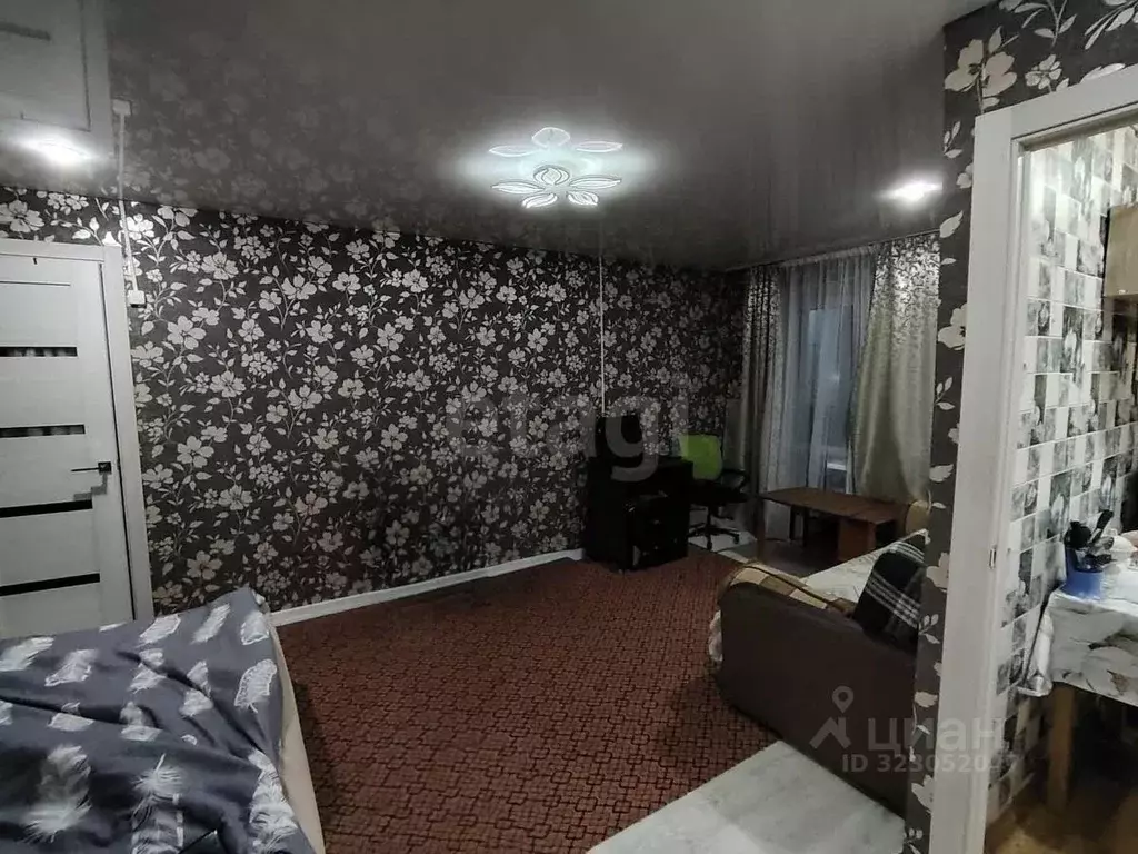 1-к кв. Брянская область, Брянск ул. Дуки, 41 (31.9 м) - Фото 1