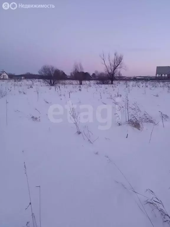 Участок в Омский район, посёлок Магистральный (12.66 м) - Фото 1