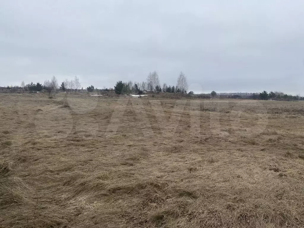 Участок 20,3 сот. (СНТ, ДНП) - Фото 1