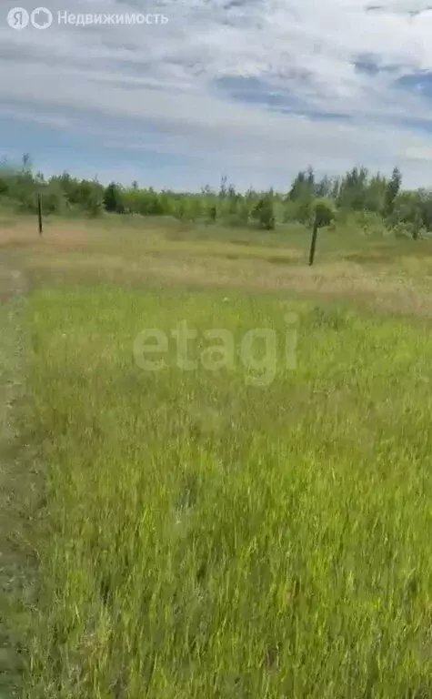 Участок в Республика Саха (Якутия), Якутск (936 м) - Фото 0