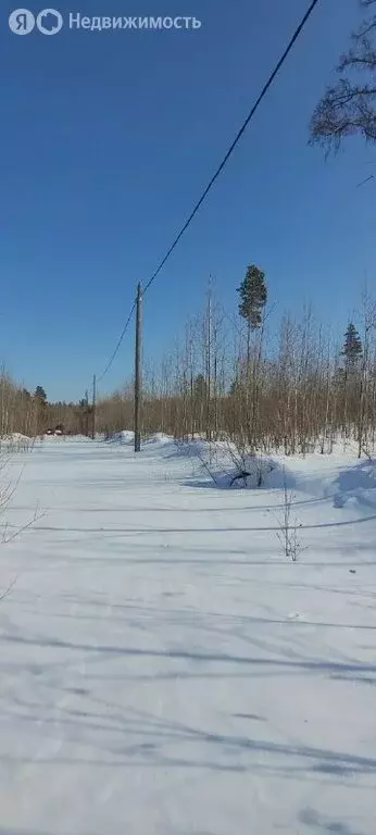 Участок в Иркутский муниципальный округ, СНТ Ручейки (10 м) - Фото 1