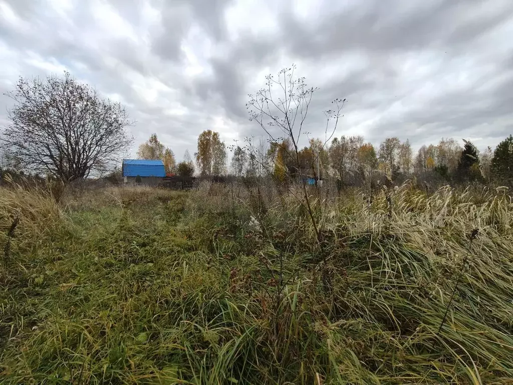 Участок 38 сот. (СНТ, ДНП) - Фото 1