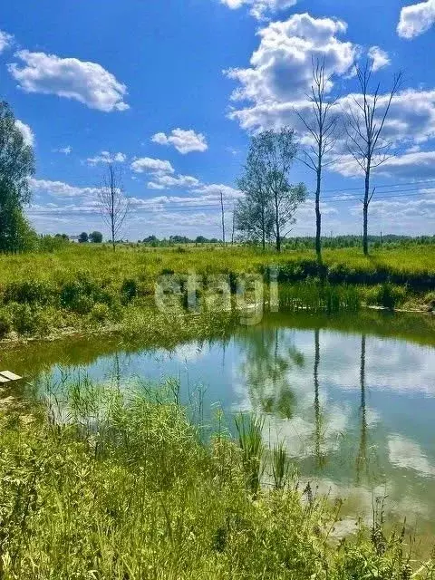 участок в смоленская область, починковский муниципальный округ, . - Фото 0