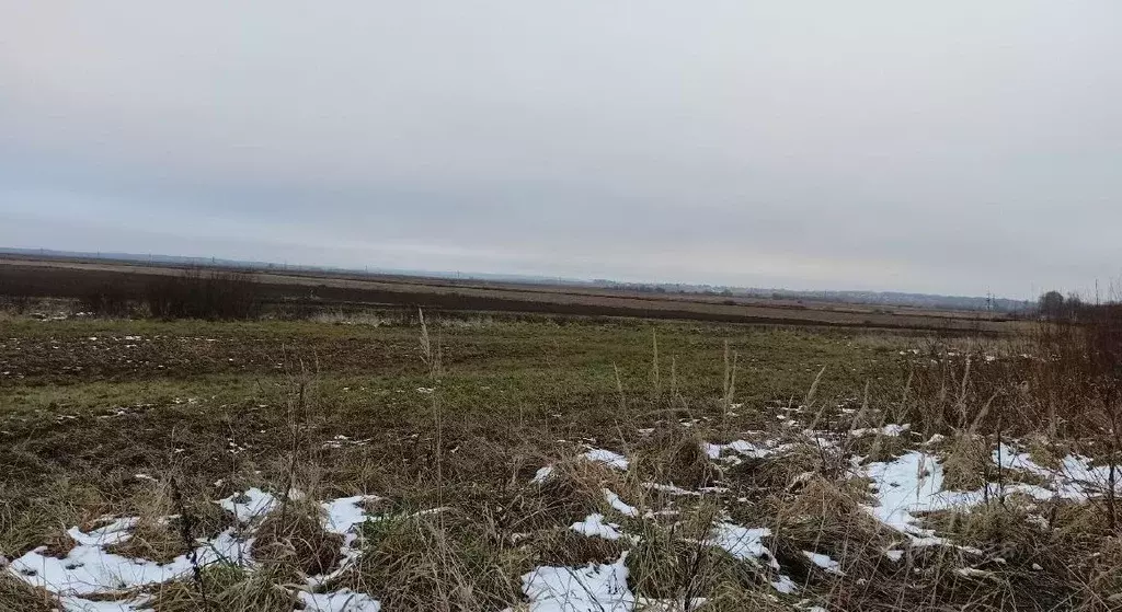 Участок в Московская область, Дмитровский муниципальный округ, с. ... - Фото 0
