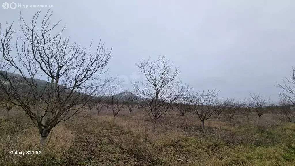 Участок в Бахчисарайский район, село Красный Мак (73.86 м) - Фото 0