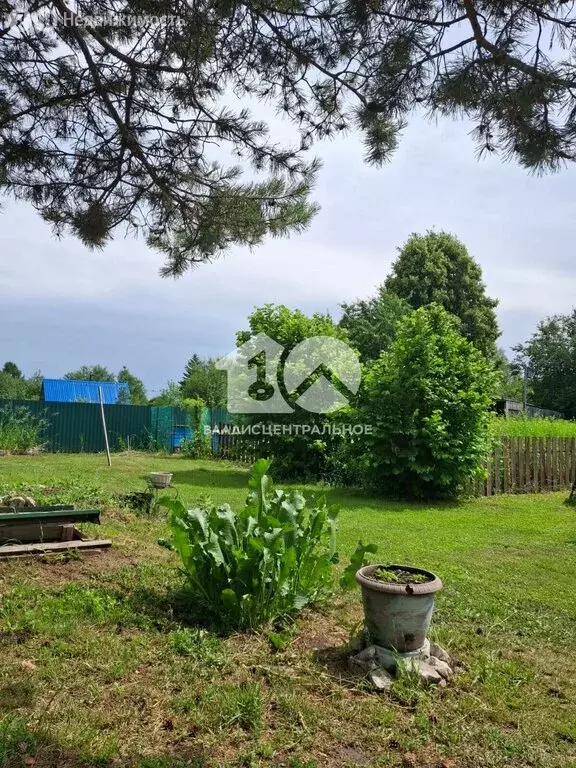 Участок в Колыванский район, СНТ Нива, Северная улица (10 м) - Фото 0
