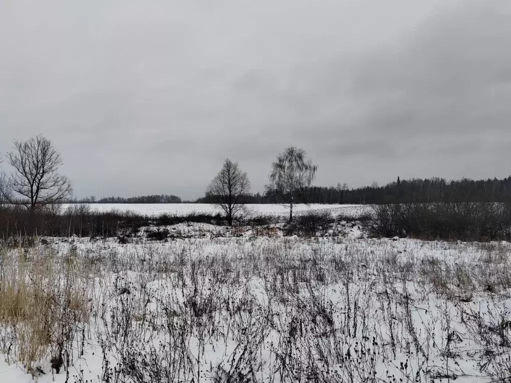 Участок в Московская область, Чехов муниципальный округ, д. Голыгино  ... - Фото 0