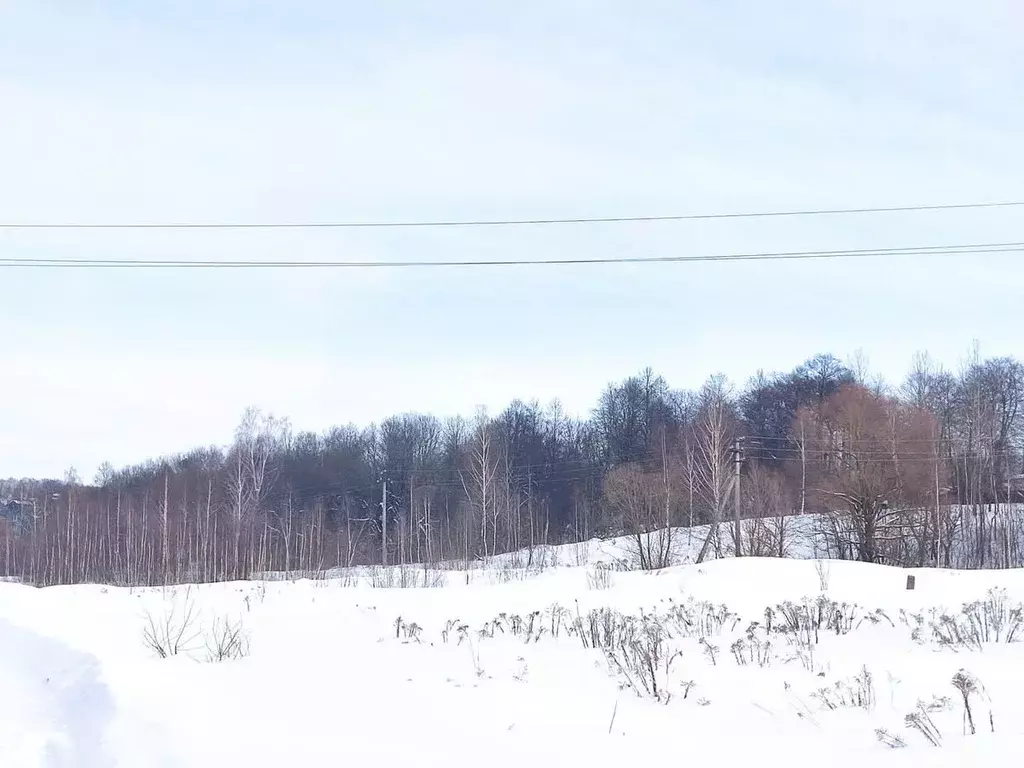 Участок в Калужская область, Калуга городской округ, д. Галкино  (11.3 ... - Фото 0