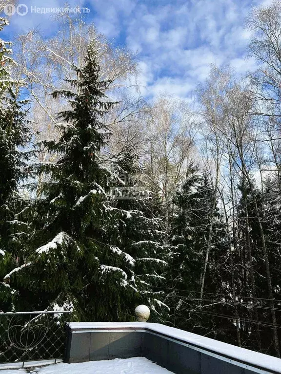 Дом в Троицк, Ягодная улица, 13 (240 м) - Фото 2