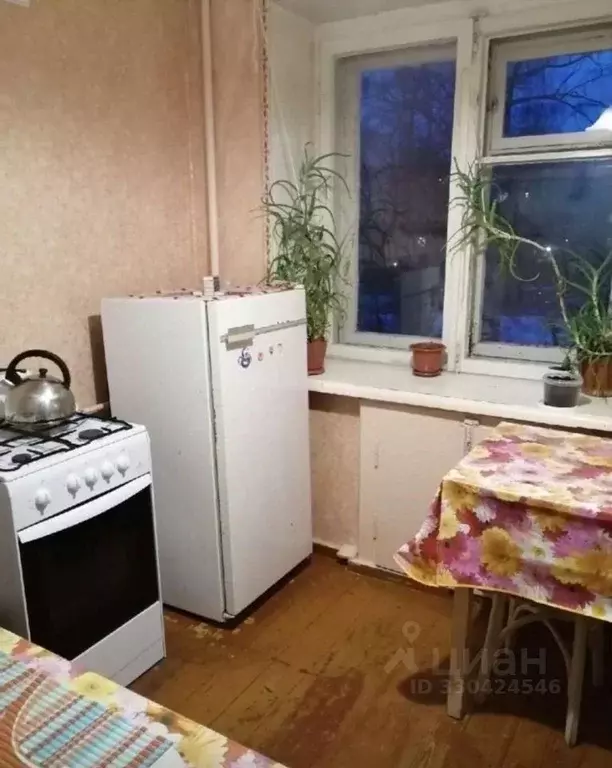 1-к кв. Вологодская область, Череповец Архангельская ул., 37 (31.5 м) - Фото 2