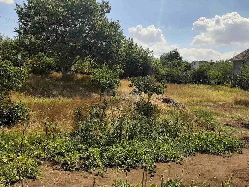 Участок в Крым, Симферопольский район, Перовское с/пос, Новозбурьевка ... - Фото 2