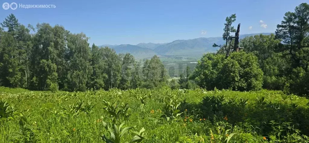 Участок в Усть-Коксинский район, село Усть-Кокса (440 м) - Фото 1